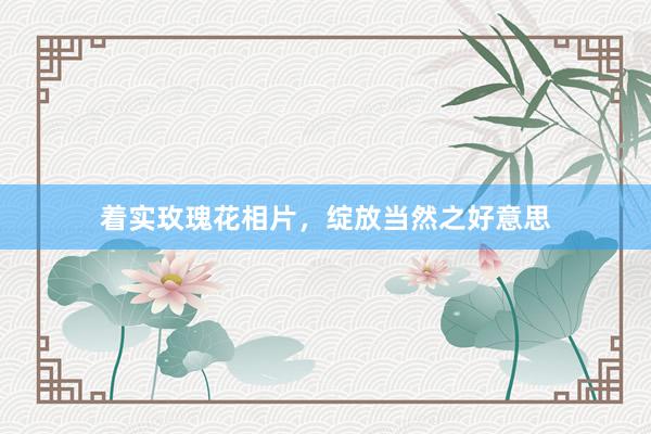 着实玫瑰花相片，绽放当然之好意思