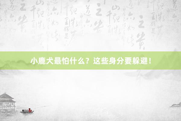 小鹿犬最怕什么？这些身分要躲避！