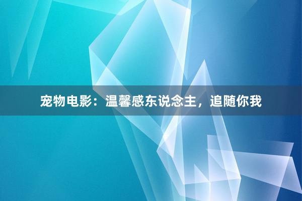 宠物电影：温馨感东说念主，追随你我